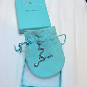 RARE Tiffany& Co. necklace. Authentic necklace from the Frank Gehry Collection.